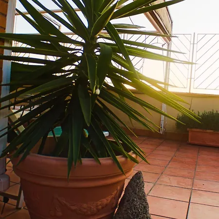 Tiziana's Terrace - Pet Friendly